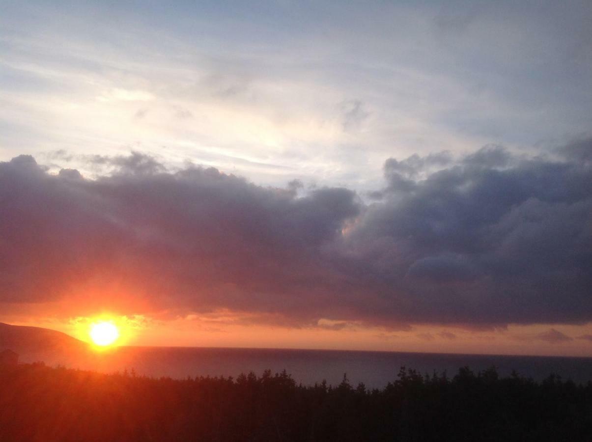 Burton'S Sunset Oasis Motel Bay Saint Lawrence Extérieur photo