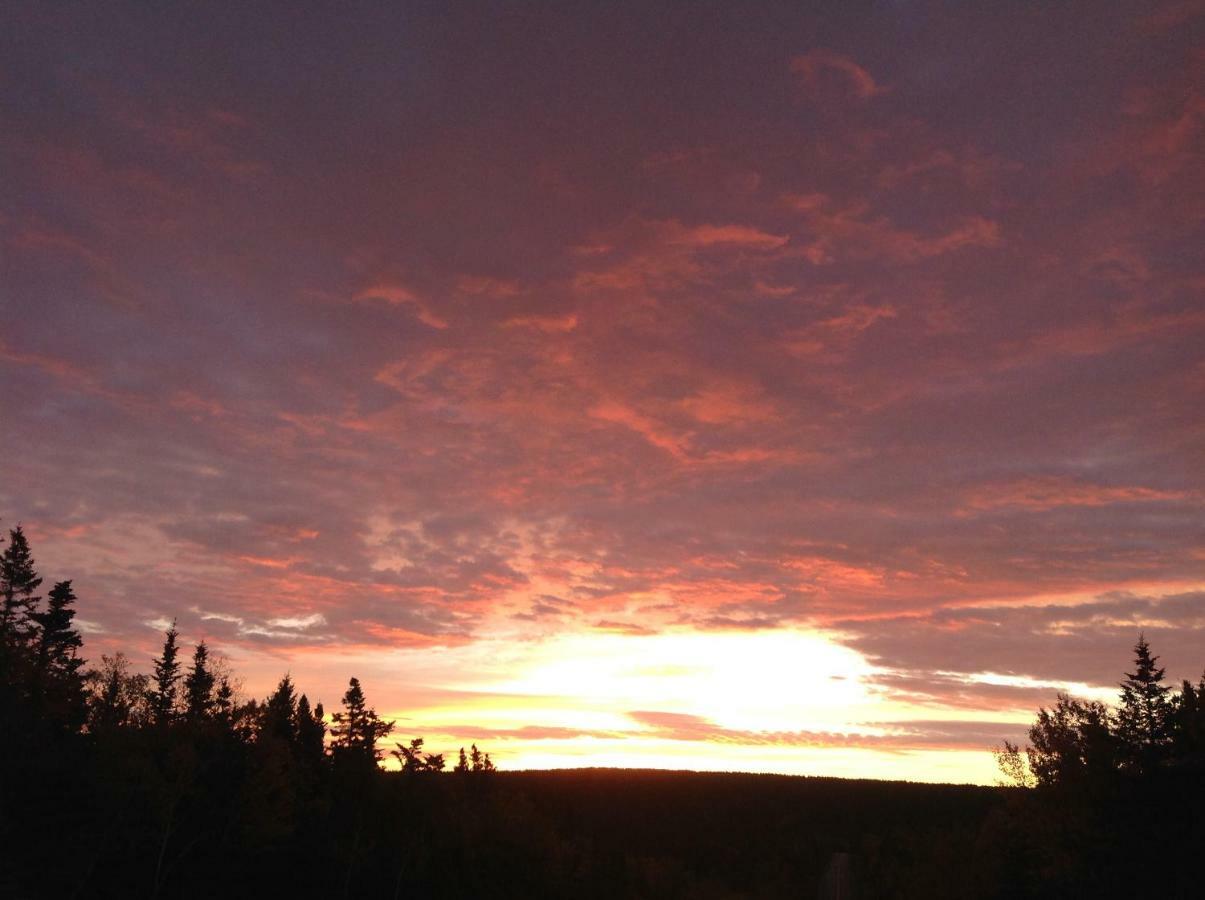 Burton'S Sunset Oasis Motel Bay Saint Lawrence Extérieur photo